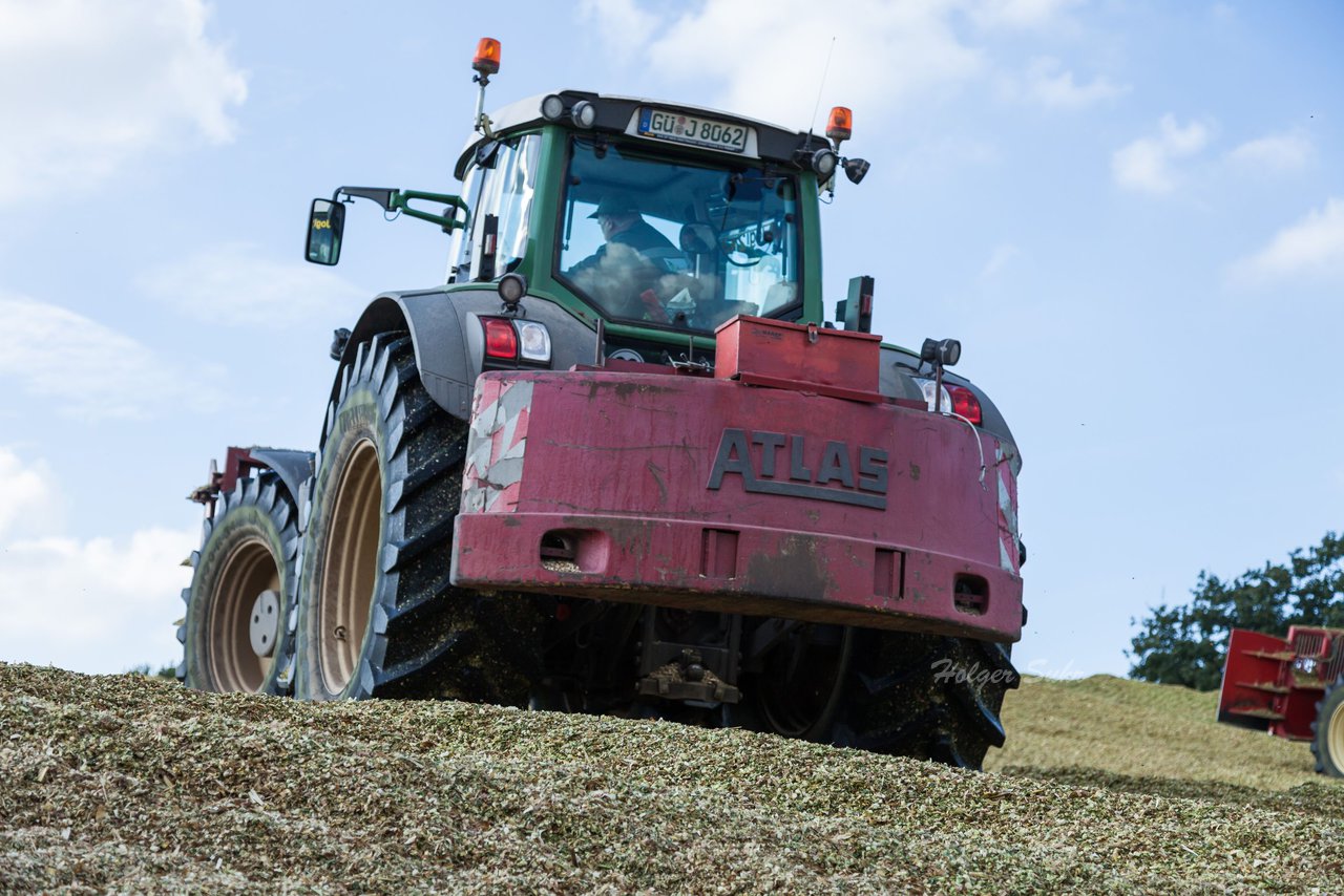 Bild 135 - Maisernte